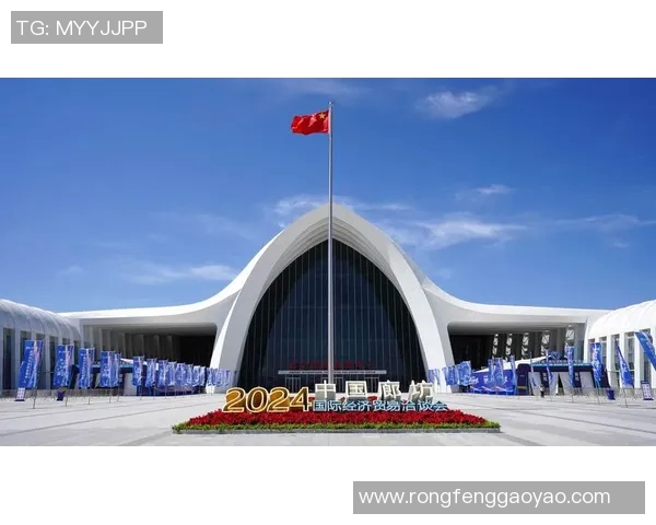 飞盘之路:重庆飞盘队的成长与突破全景纪实 飞盘之路:重庆飞盘队的成长与突破全景纪实