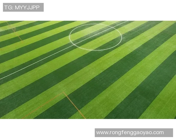 上海足球队中路突破革新探索与实践全景分析 上海足球队中路突破革新探索与实践全景分析