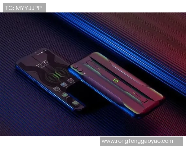 和平精英战术解析：深入剖析LNG团队的包夹战术与策略