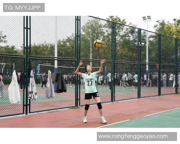 排球盛宴：深入探索杭州排球队背后的力量与荣耀
