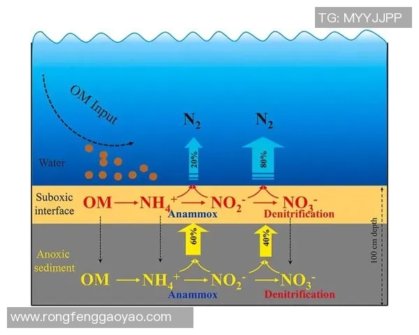 成都排球队灵活性分析与战术创新的深度探讨