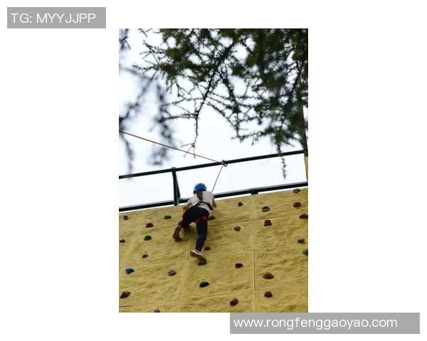 西安攀岩队战术创新引发热议助力攀登竞技新高度