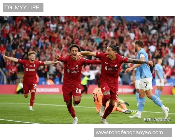 努涅斯在赛场上的崛起与挑战解析，展望未来的职业生涯发展与可能性