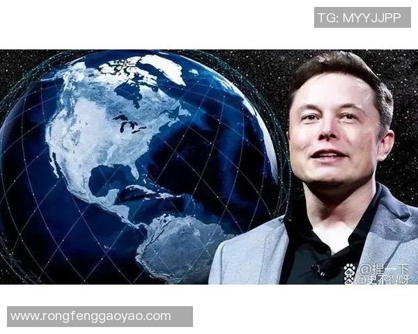 防御与正义的较量在老虎竞技场上展开的激烈对决与深刻思考