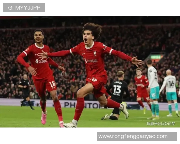 2020年英超诺维奇主场迎战利物浦精彩对决回顾与分析