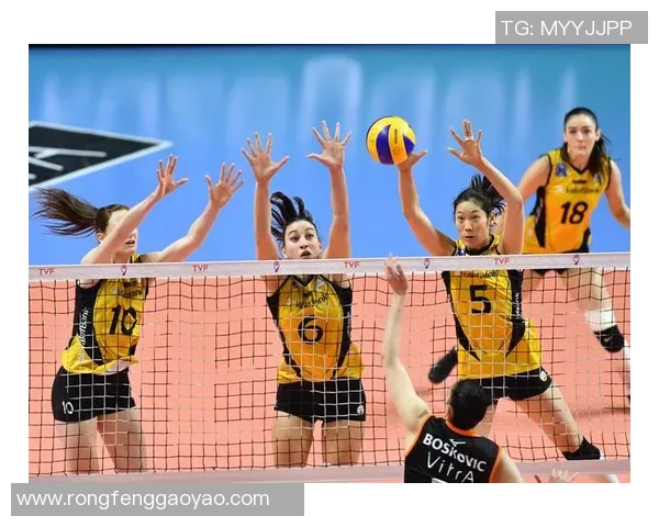 八一女排与福建女排巅峰对决展现女排精神与竞技魅力