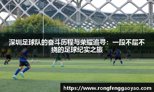 深圳足球队的奋斗历程与荣耀追寻：一段不屈不挠的足球纪实之旅